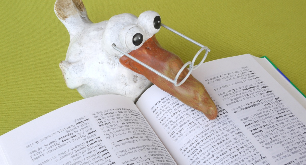 Zweisprachigkeit: ein Vogel mit Brille liest im Wörterbuch